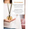 Tayoqchalar bilan uy diffuzeri Aroma Republic №17 "Orange wood", 90 ml