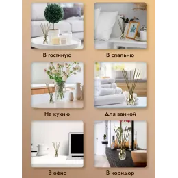 Tayoqchalar bilan uy diffuzeri Aroma Republic №17 "Orange wood", 90 ml