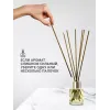 Tayoqchalar bilan uy diffuzeri Aroma Republic №19 "Tropical rain", 30 ml