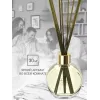 Tayoqchalar bilan uy diffuzeri Aroma Republic №19 "Tropical rain", 70 ml