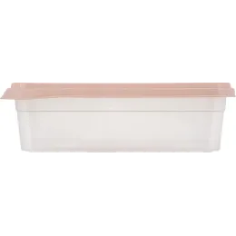 Saqlash idishi 1,4L Plast Team BERGEN shaftoli karamel