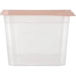 Saqlash idishi 2,4L Plast Team BERGEN shaftoli karamel