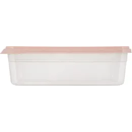 Saqlash idishi 2,6L Plast Team BERGEN shaftoli karamel