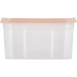 Контейнер 2 л для сыпучих продуктов, Plast Team BERGEN персиковая карамель