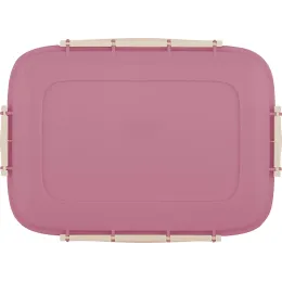 Saqlash idishi 1,3L, Sugar&Spice Вarberry brusnika