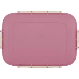 Saqlash idishi 1,8L, Sugar&Spice Вarberry brusnika