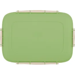 Saqlash idishi 1,3L, Sugar&Spice Вarberry pista