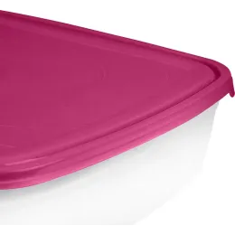 Saqlash idishi 4,85L, Sugar&Spice brusnika