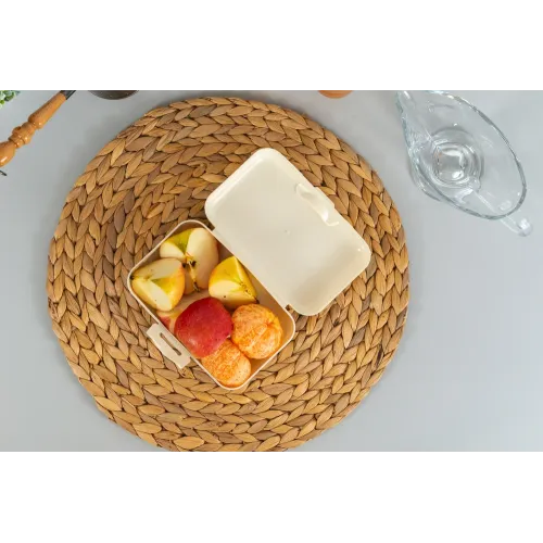 Lanch-boks, oziq-ovqat konteyner 700 ml, Sugar&Spice Honey shampan
