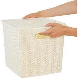 Корзина для хранения вещей со съемной крышкой 21л Keeplex Rattan белое облако
