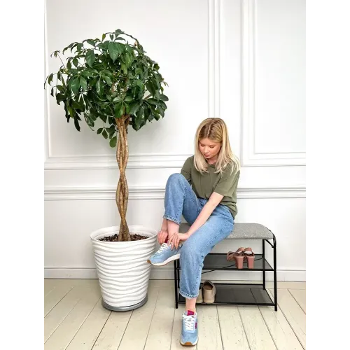 Подставка для обуви ЗМИ Гранада 23 черный