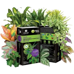 ЦИОН Набор для посадки декоративных комнатных растений