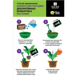 ЦИОН Набор для посадки декоративных комнатных растений