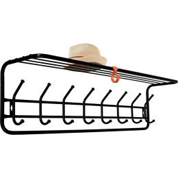 Вешалка для одежды ЗМИ 100 черный