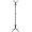 Qora