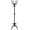 Qora